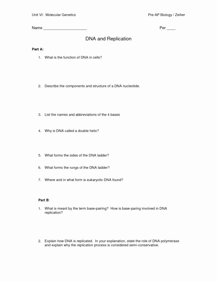 Dna and Replication Worksheet Answers Best Of Dna Replication Worksheet Answers