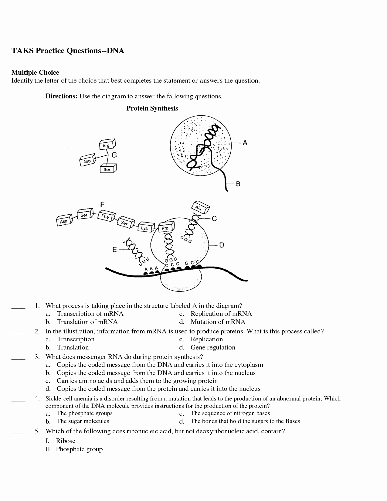 Dna and Replication Worksheet Answers Elegant Dna Replication Diagram Worksheet Ms Genetics