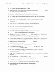 Dna and Replication Worksheet Answers Elegant Dna Replication Worksheet and Answer Key Bio 1510 Si