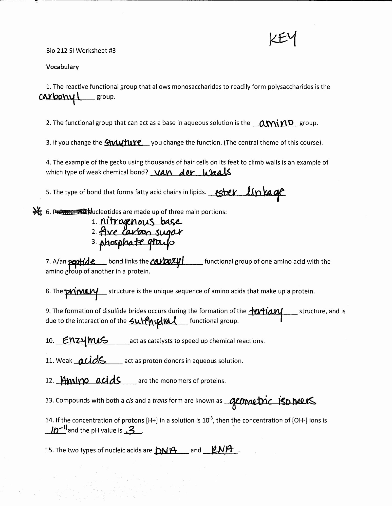 Dna and Replication Worksheet Answers Elegant Dna Replication Worksheet Answer Key