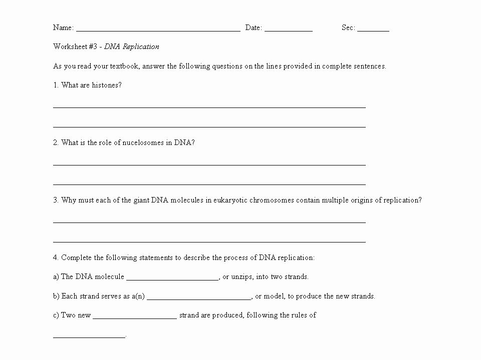 Dna and Replication Worksheet Answers Fresh Dna and Dna Replication