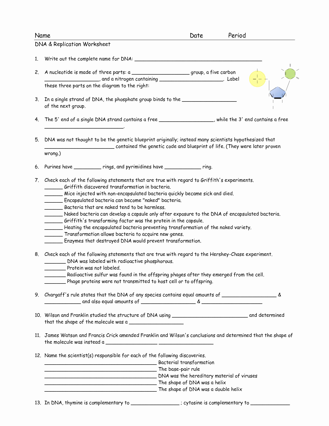Dna and Replication Worksheet Answers Unique 17 Best Of Dna Worksheet Printable Dna Rna