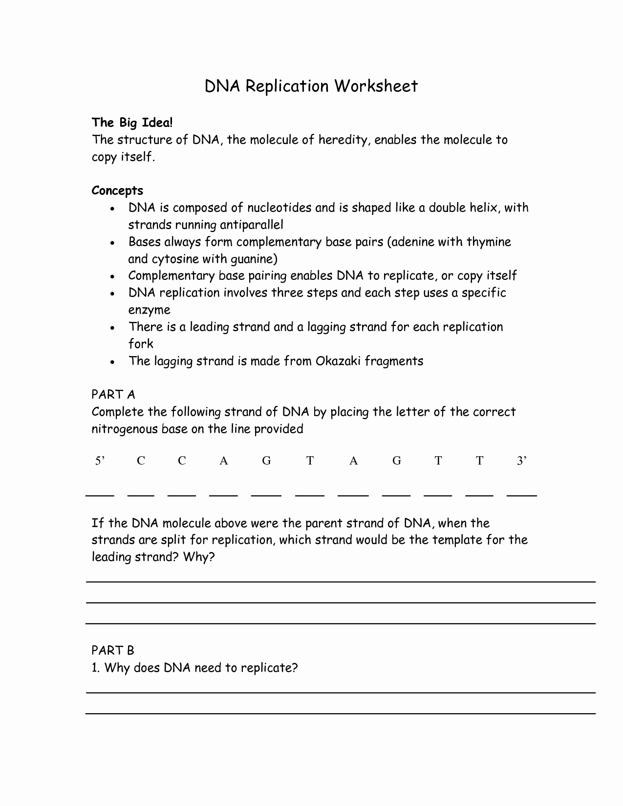 Dna and Replication Worksheet Best Of 19 Best Of Dna Replication Structure Worksheet and