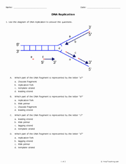 Dna and Replication Worksheet Best Of Dna Replication Grades 11 12 Free Printable Tests and