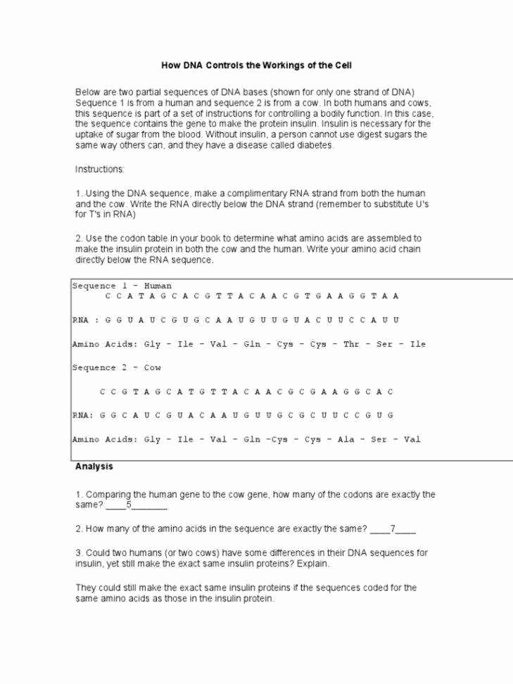 Dna and Replication Worksheet Inspirational Dna Replication Worksheet Answers