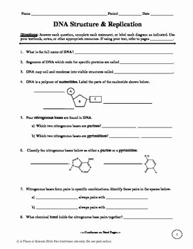 Dna and Replication Worksheet Inspirational Dna Structure and Replication Worksheet by A Thom Ic
