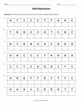 Dna and Replication Worksheet New Dna Replication Worksheet Printable to Use for Review or