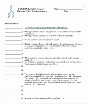 Dna and Rna Worksheet Answers Awesome Dna Deoxyribonucleic Acid Rna Protein Synthesis