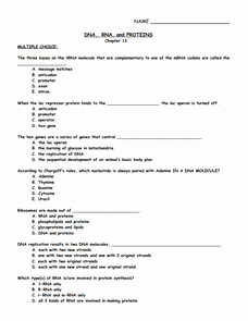 Dna and Rna Worksheet Answers Awesome Dna Rna and Proteins 9th 12th Grade Worksheet