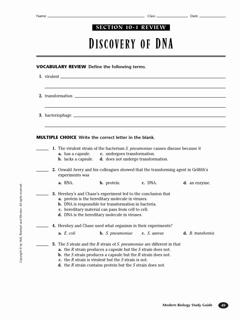 Dna and Rna Worksheet Answers Beautiful Worksheet Dna Rna and Protein Synthesis Answer Key