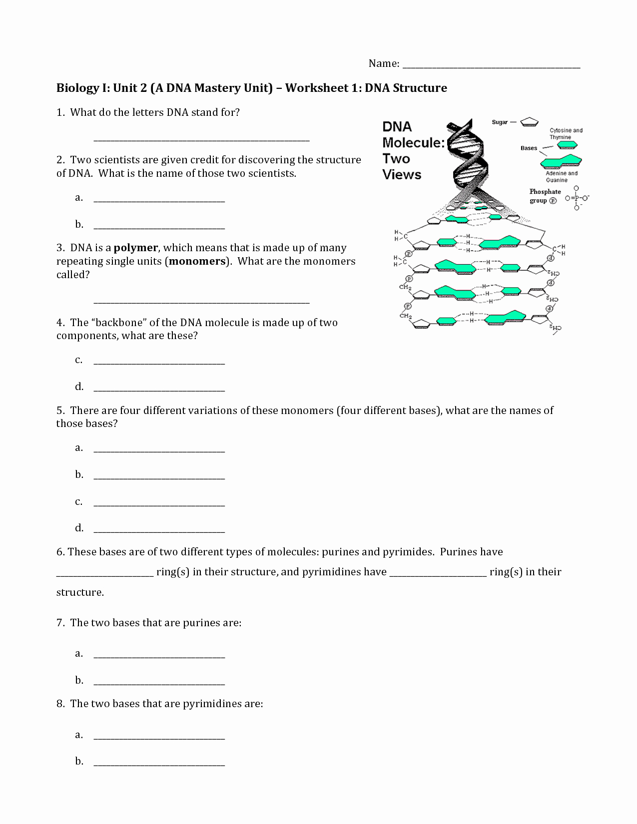 Dna and Rna Worksheet Answers Elegant 13 Best Of Biology Dna and Rna Worksheet Dna