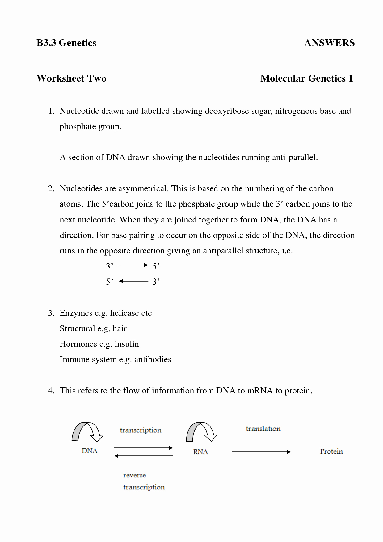 50 Dna And Rna Worksheet Answers