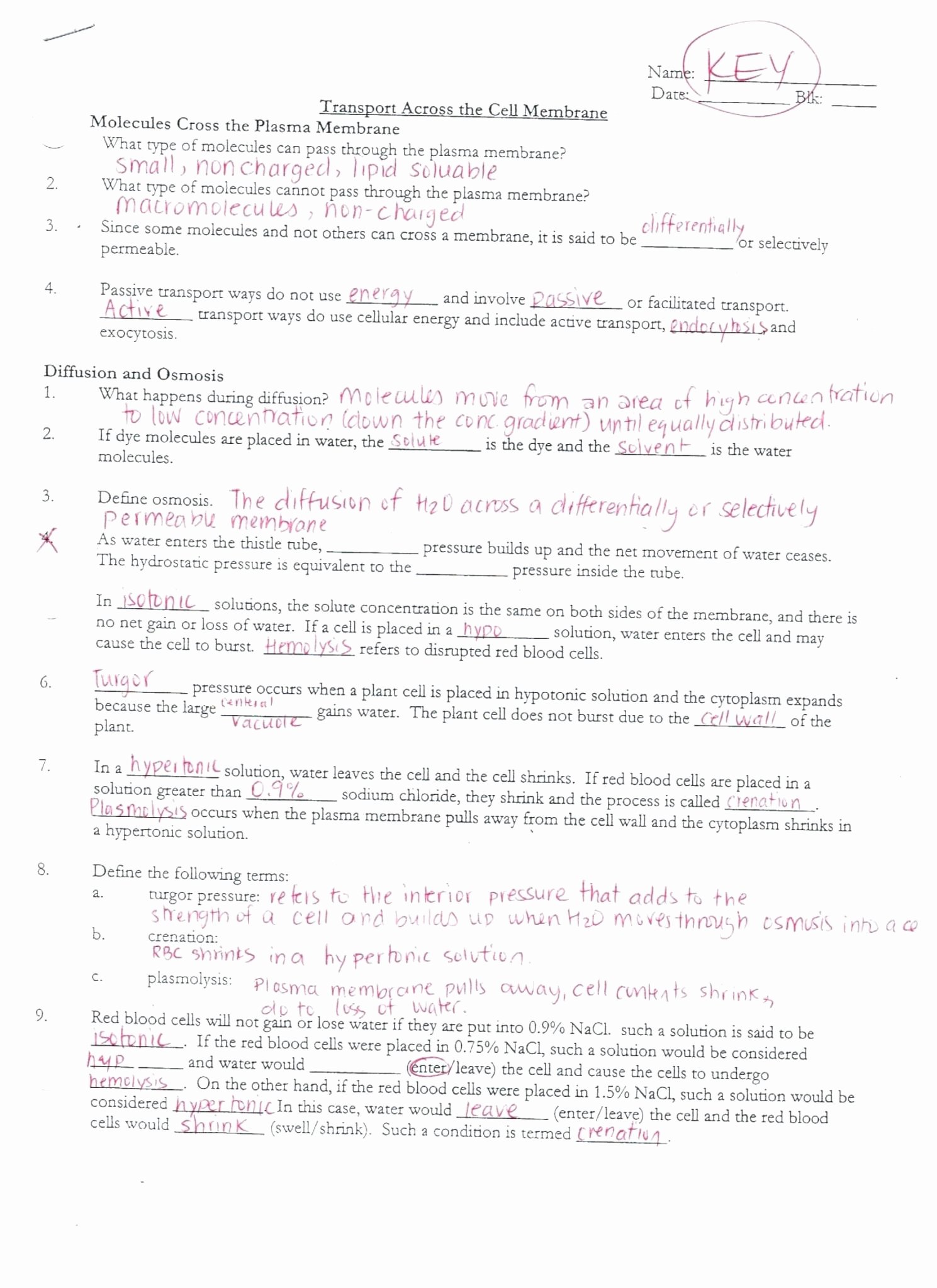 Dna and Rna Worksheet Answers Inspirational Dna Rna and Protein Synthesis Worksheet Answer Key