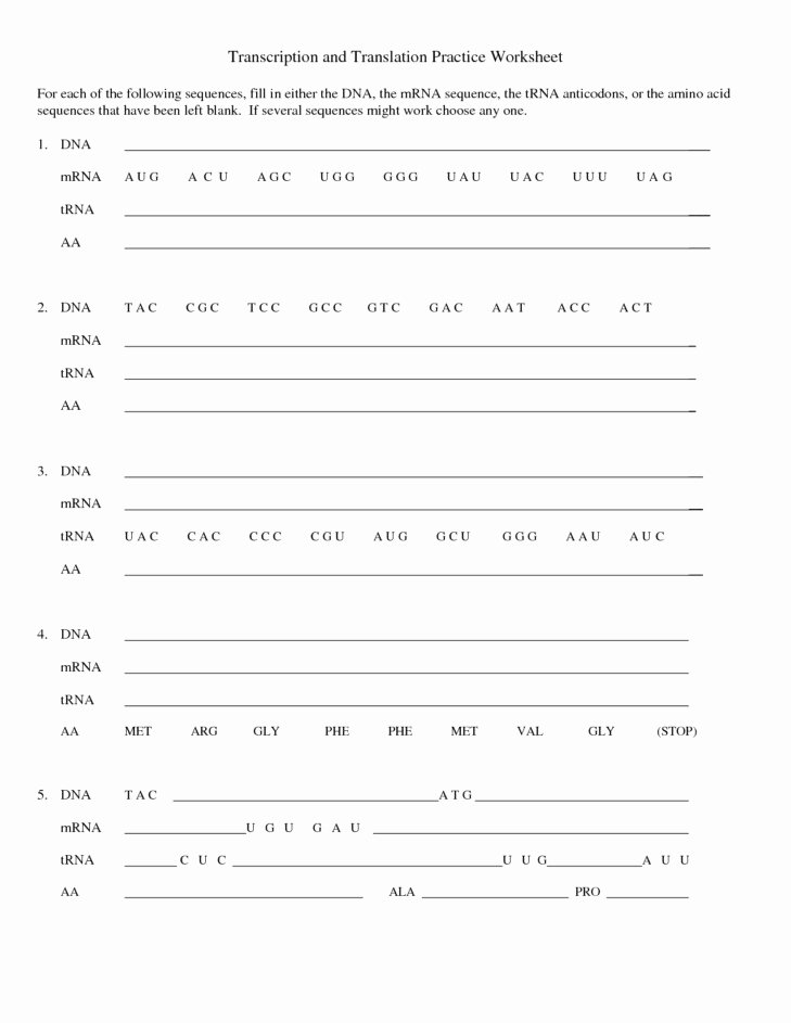 50 Dna And Rna Worksheet Answers