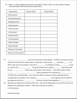 Dna and Rna Worksheet Answers New Dna Rna Protein Synthesis Worksheet Study Guide by Amy