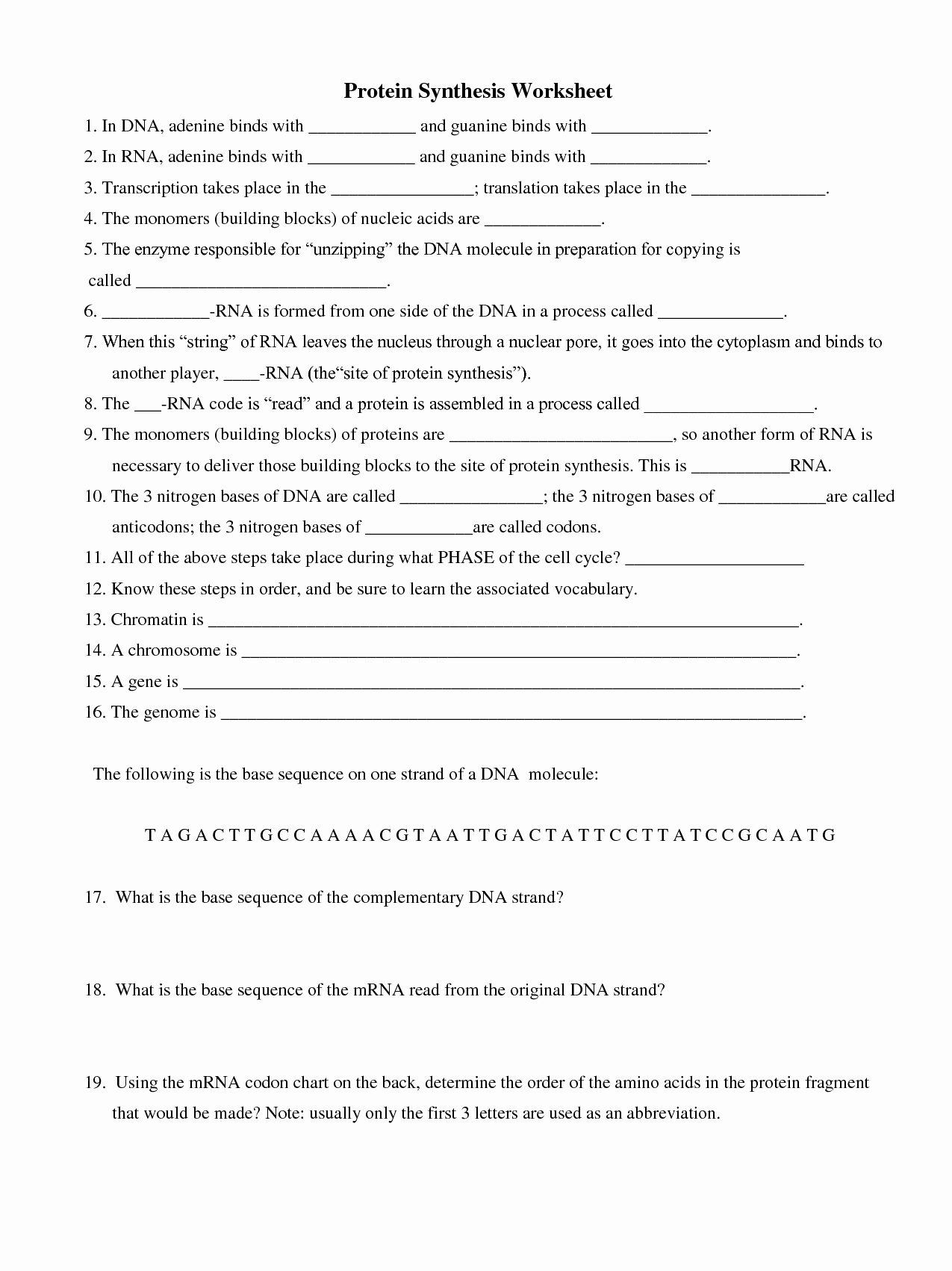 Dna and Rna Worksheet Answers Unique 16 Best Of Dna and Rna Protein Synthesis Worksheet