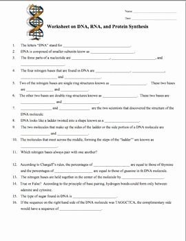 Dna and Rna Worksheet Awesome Dna Rna Protein Synthesis Worksheet Study Guide