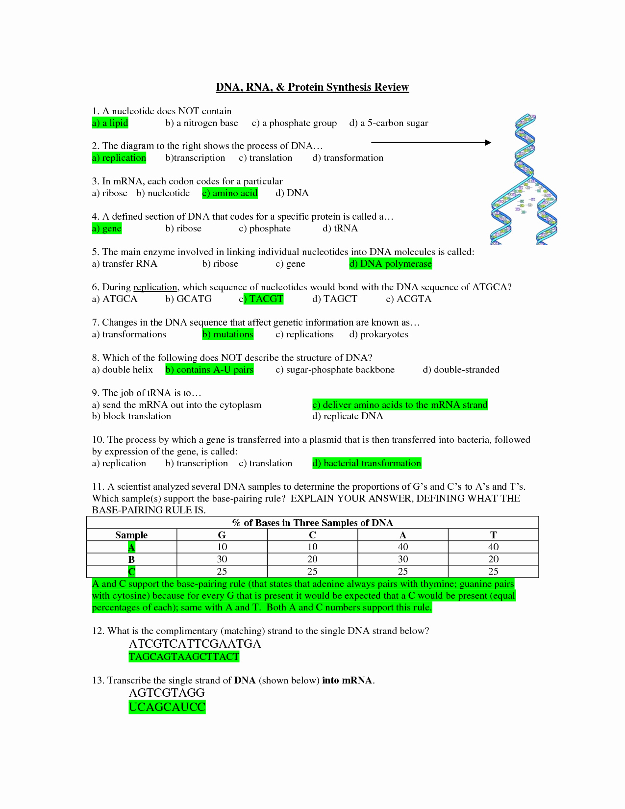 Dna and Rna Worksheet Elegant Dna Rna and Protein Synthesis Test Biological Science