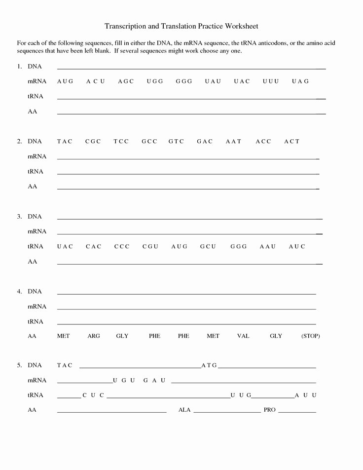 Dna and Rna Worksheet Elegant Transcription and Translation Practice Worksheet 1