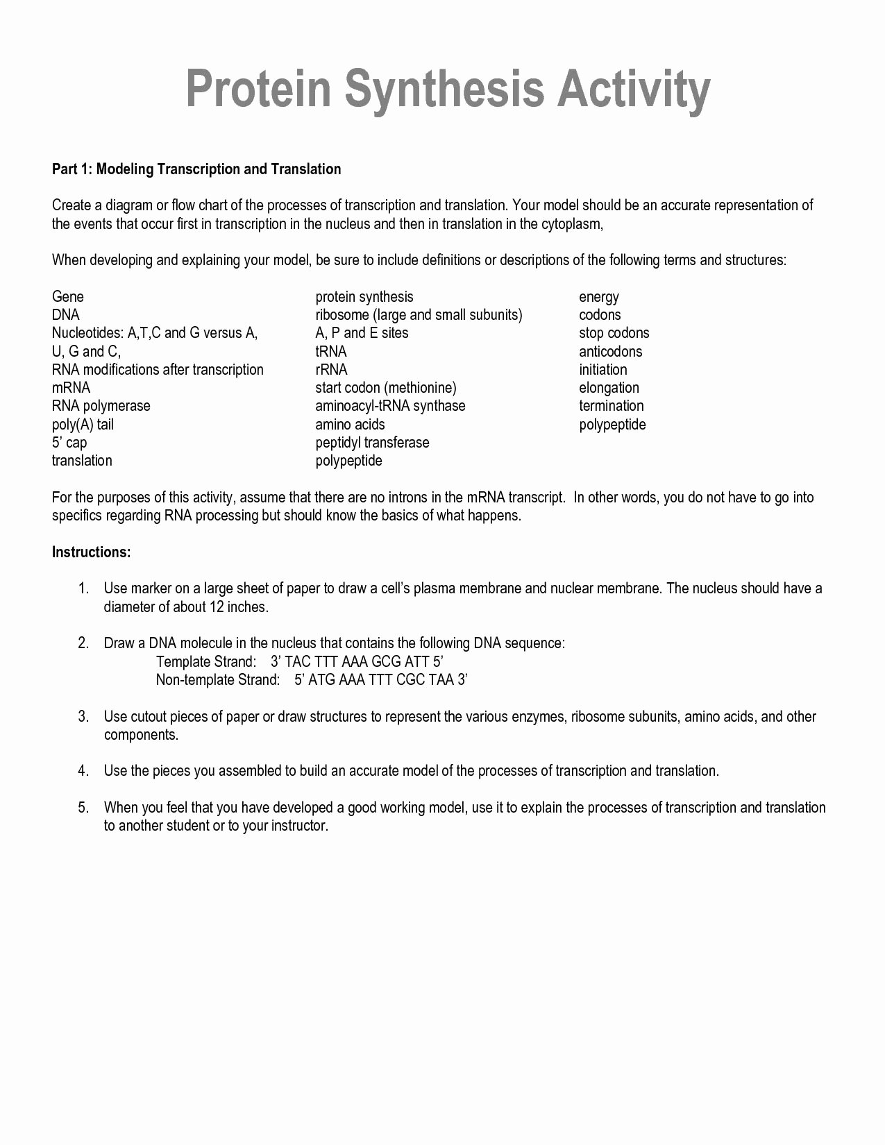 50-dna-and-rna-worksheet