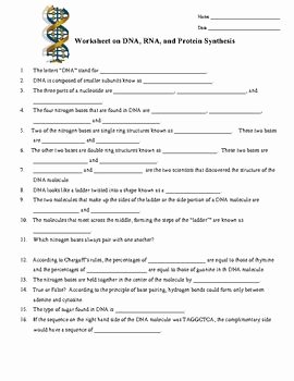 Dna and Rna Worksheet Lovely Dna Rna Protein Synthesis Worksheet Study Guide