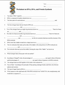Dna and Rna Worksheet New Dna Rna Protein Synthesis Worksheet Study Guide by Amy