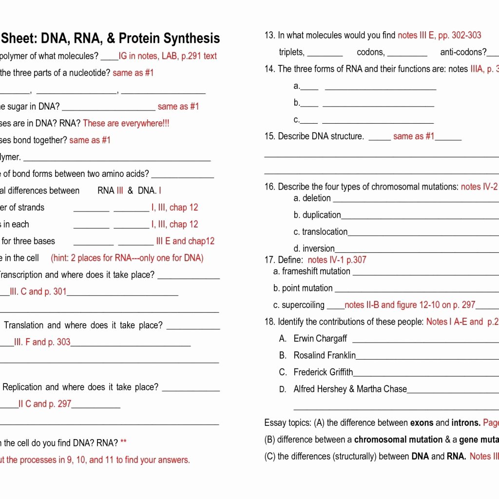 Dna and Rna Worksheet New Dna Rna Worksheets Answers