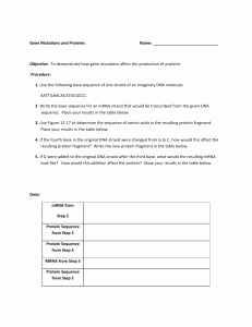 Dna and Rna Worksheet New Worksheet Dna Rna and Protein Synthesis