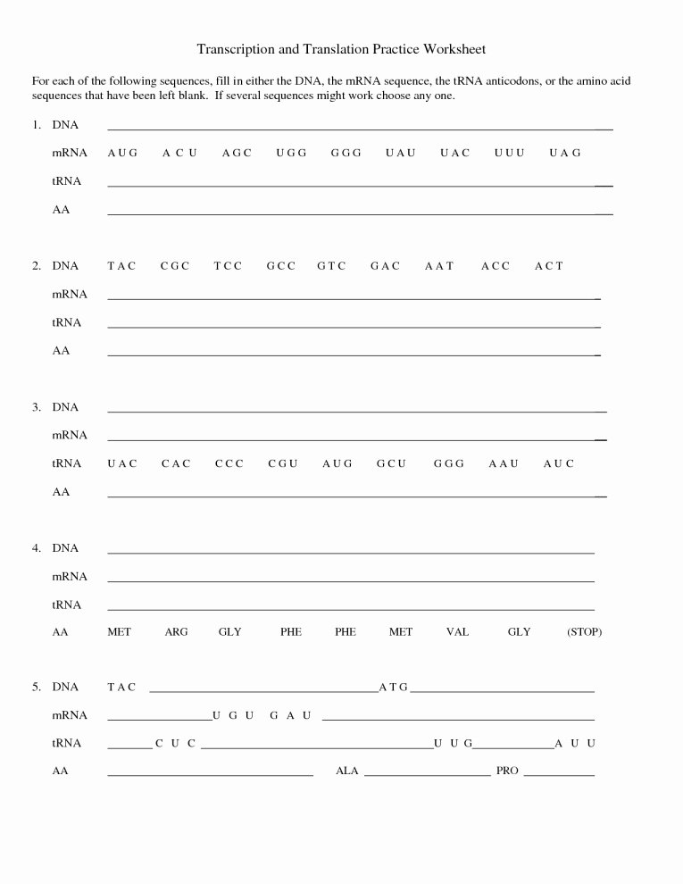 Dna Base Pairing Worksheet Answers Awesome Dna Base Pairing Worksheet Yooob
