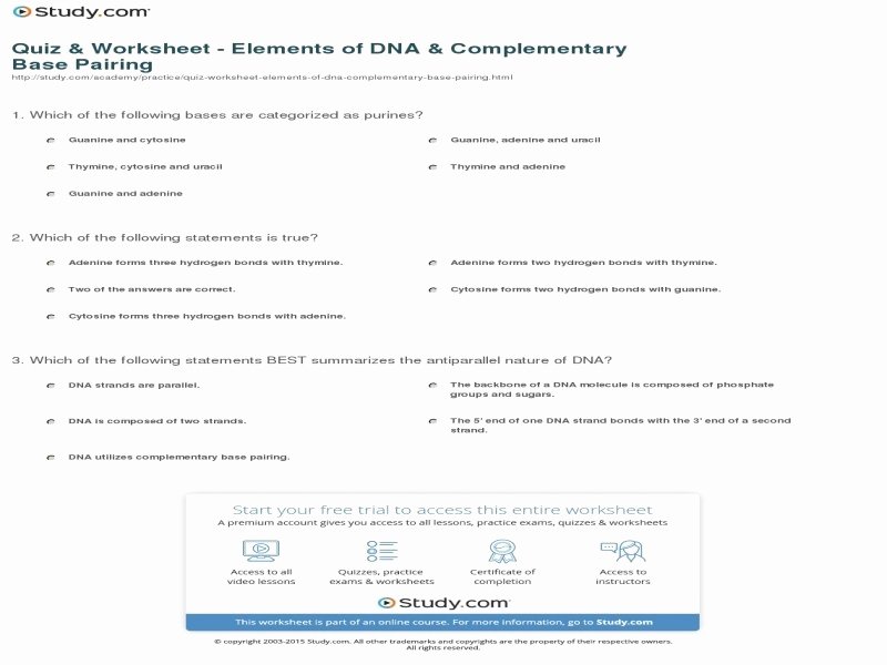 Dna Base Pairing Worksheet Answers Elegant Dna Base Pairing Worksheet Answers Free Printable Worksheets