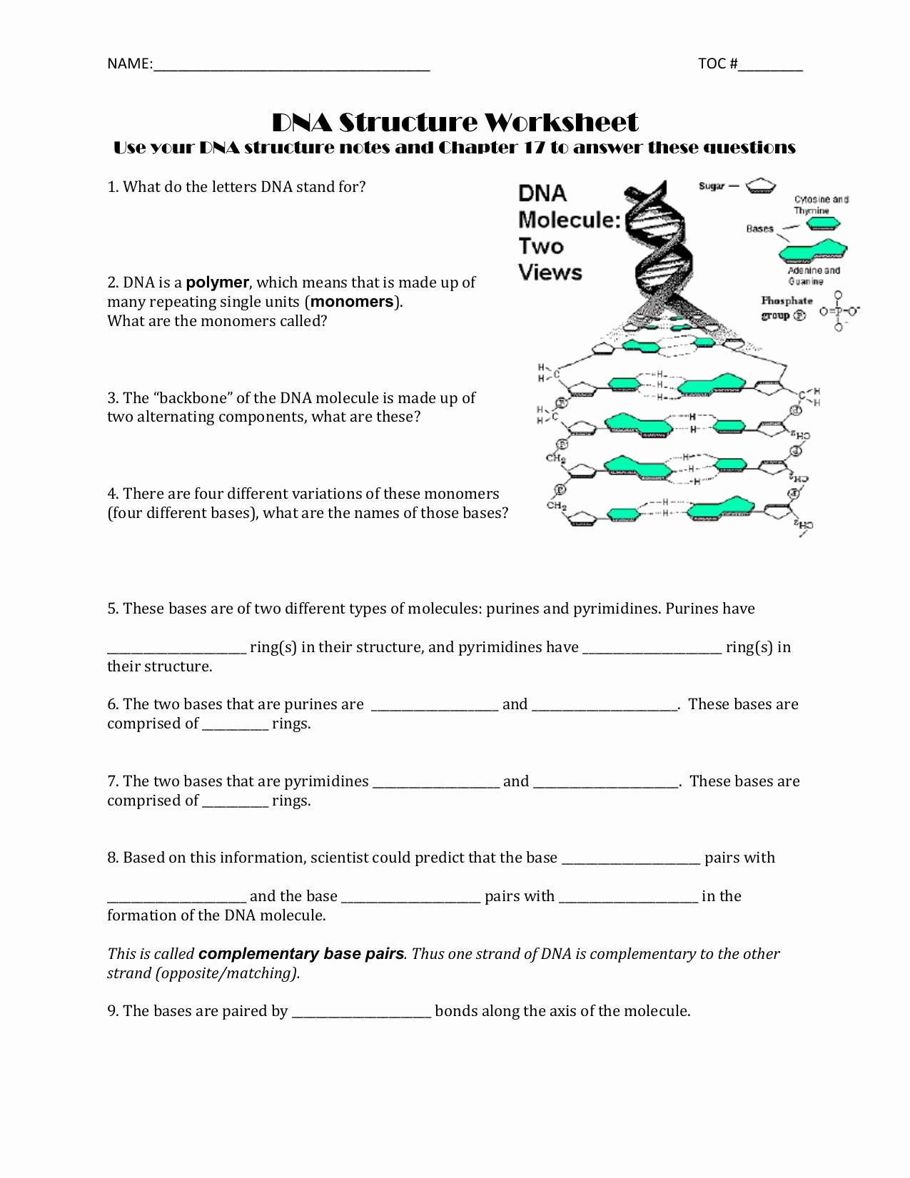 Dna Base Pairing Worksheet Answers Fresh Dna Base Pairing Worksheet Answer Key Worksheet Idea