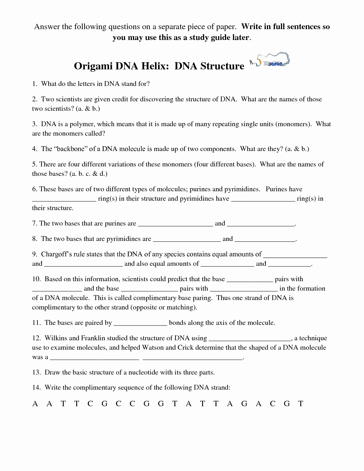50 Dna Base Pairing Worksheet Answers