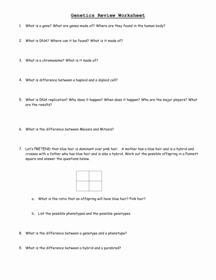 Dna Base Pairing Worksheet Answers New Dna Base Pairing Worksheet