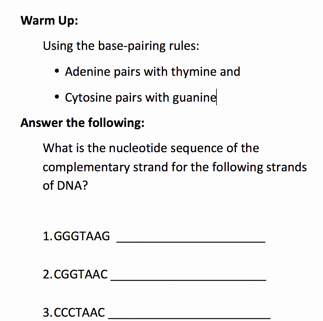50 Dna Base Pairing Worksheet Answers