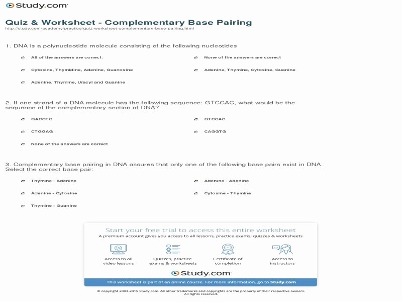 Dna Base Pairing Worksheet New Dna Base Pairing Worksheet Answers Free Printable Worksheets