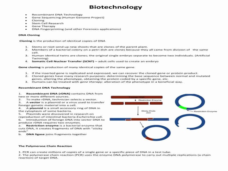 Dna Fingerprinting Worksheet Answers