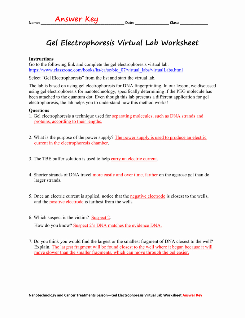 Dna Fingerprinting Worksheet Answers Best Of Gel Electrophoresis Virtual Lab Worksheet Answer Key