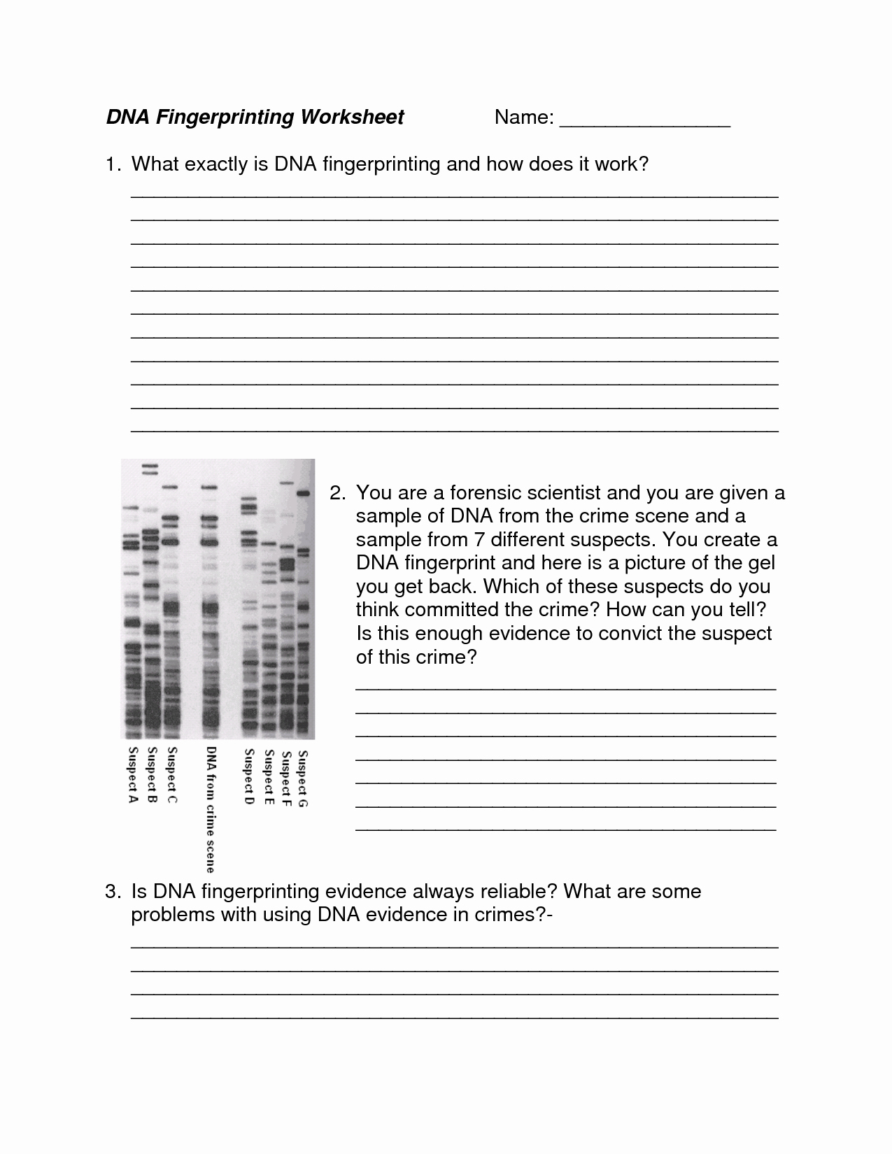 Dna Fingerprinting Worksheet Answers Inspirational 17 Best Of Dna Worksheet Printable Dna Rna