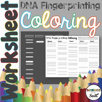 Dna Fingerprinting Worksheet Answers Lovely Dna Fingerprinting Coloring Worksheet for Interactive
