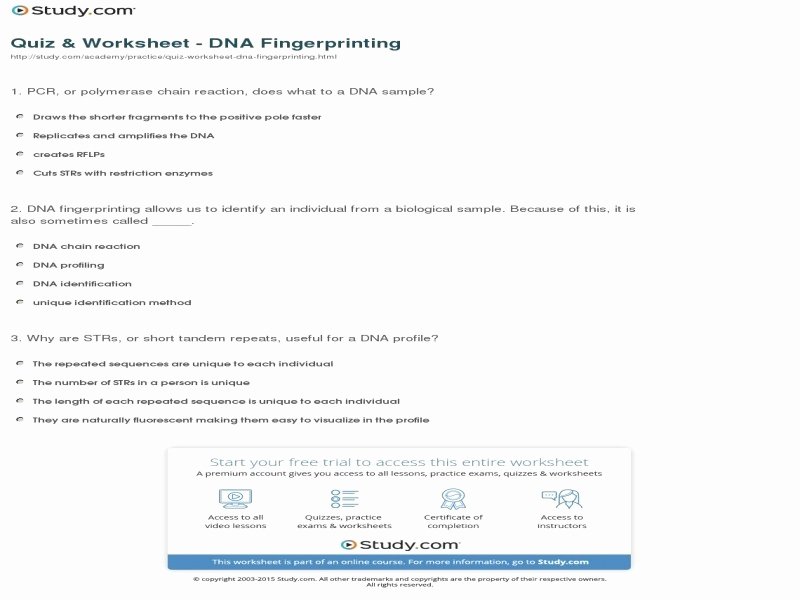 Dna Fingerprinting Worksheet Answers Lovely Dna Fingerprinting Worksheet Answers Free Printable
