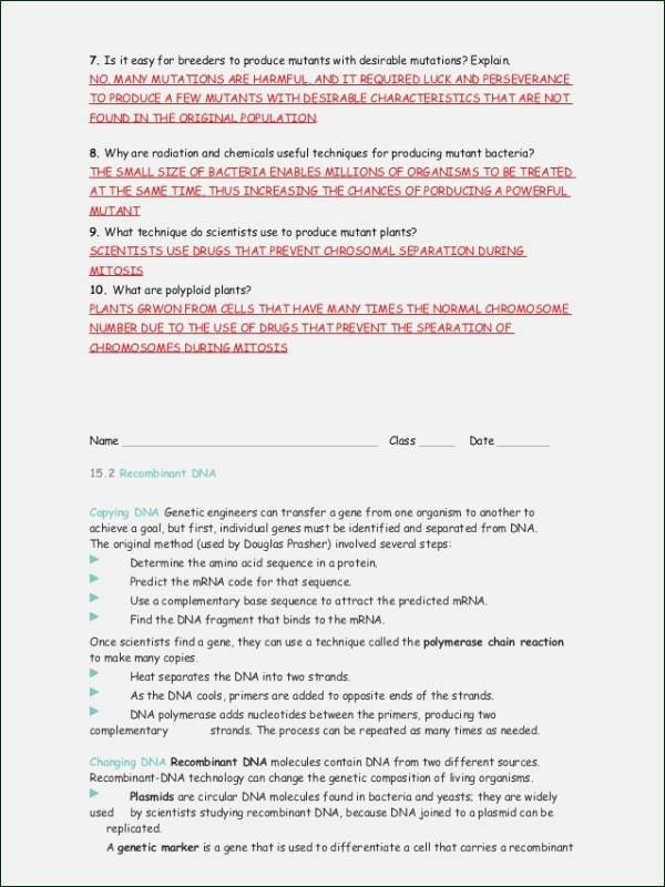 Dna Mutation Practice Worksheet Answers