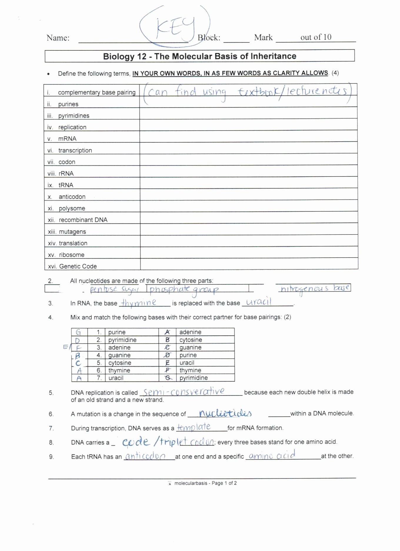 Dna Mutation Practice Worksheet Answers Beautiful Dna Mutations Practice Worksheet Conclusion Answers