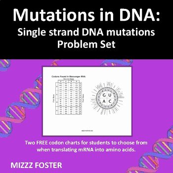 Dna Mutation Practice Worksheet Answers Beautiful Mutations In Dna Single Strand Dna Mutations Problem Set