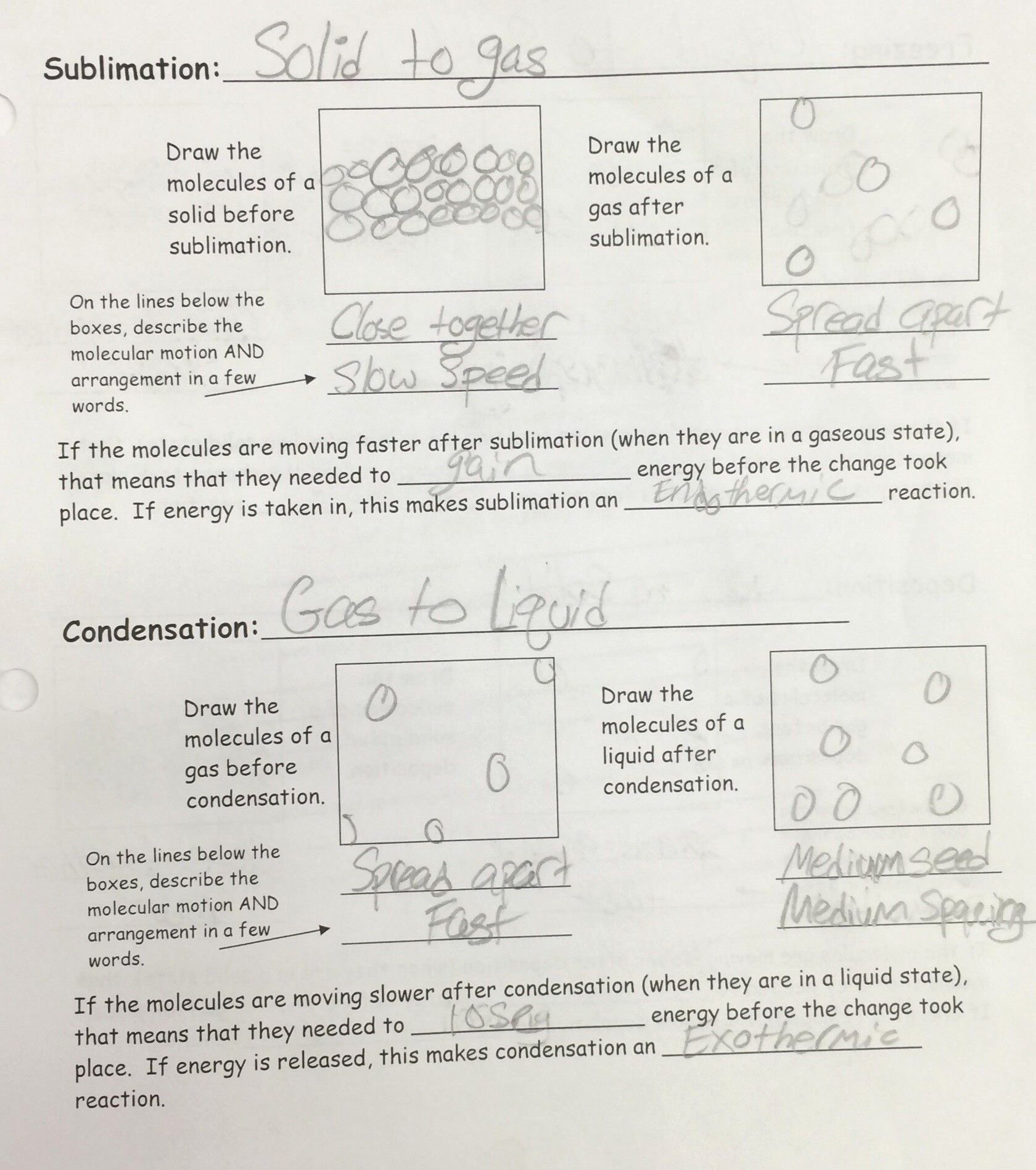 dna mutations practice worksheet conclusion answers