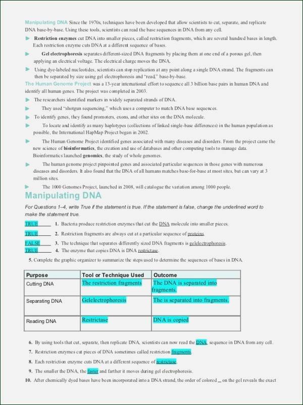 Dna Mutation Practice Worksheet Answers New Dna Mutations Practice Worksheet Answers