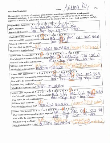 Dna Mutation Practice Worksheet Answers New Genetic Mutation Worksheet Answer Key