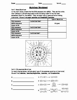 Dna Mutation Practice Worksheet Answers Unique Genetic Mutations Worksheet Using A Codon Chart by the