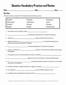 Dna Mutations Practice Worksheet Answer Awesome Genetics Vocabulary and Concepts Review Worksheet by Elly