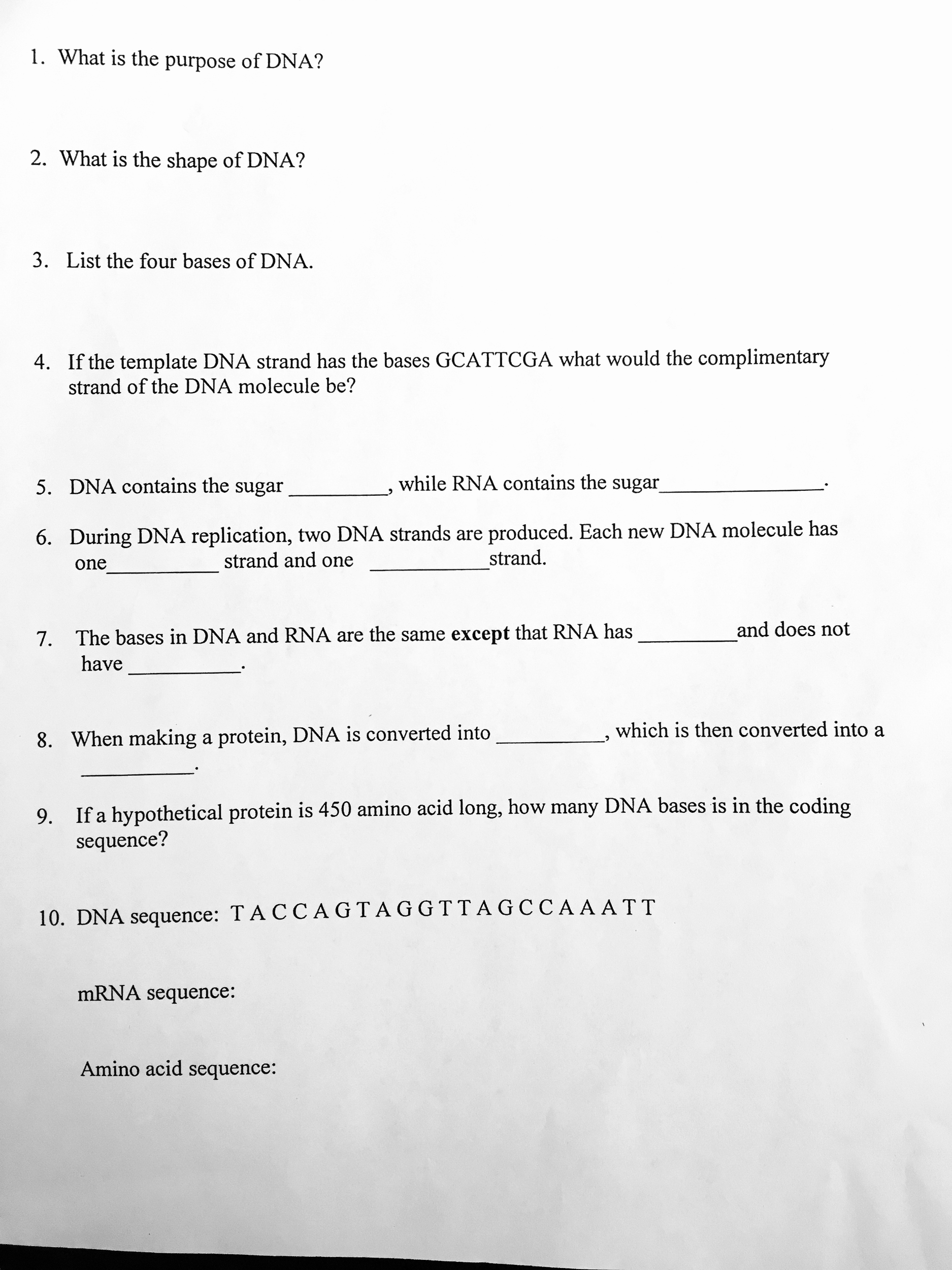 Dna Mutations Practice Worksheet Answer Beautiful Dna Mutations Practice Worksheet Answers Conclusions