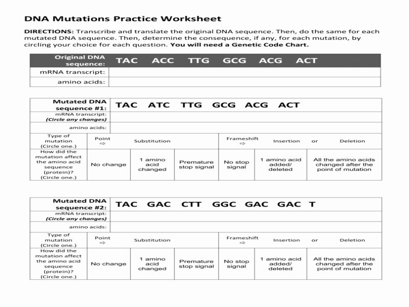 Dna Mutations Practice Worksheet Answer Fresh Dna Mutations Practice Worksheet Answers Free Printable